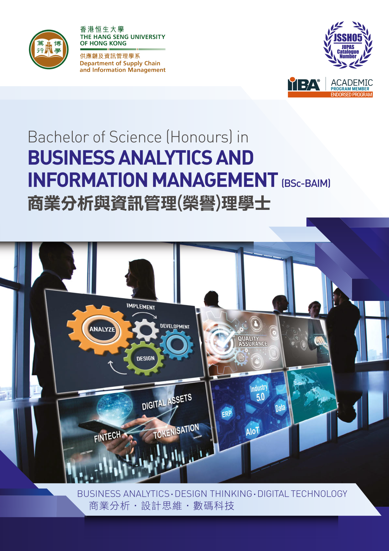 商業分析與資訊管理 (榮譽) 理學士