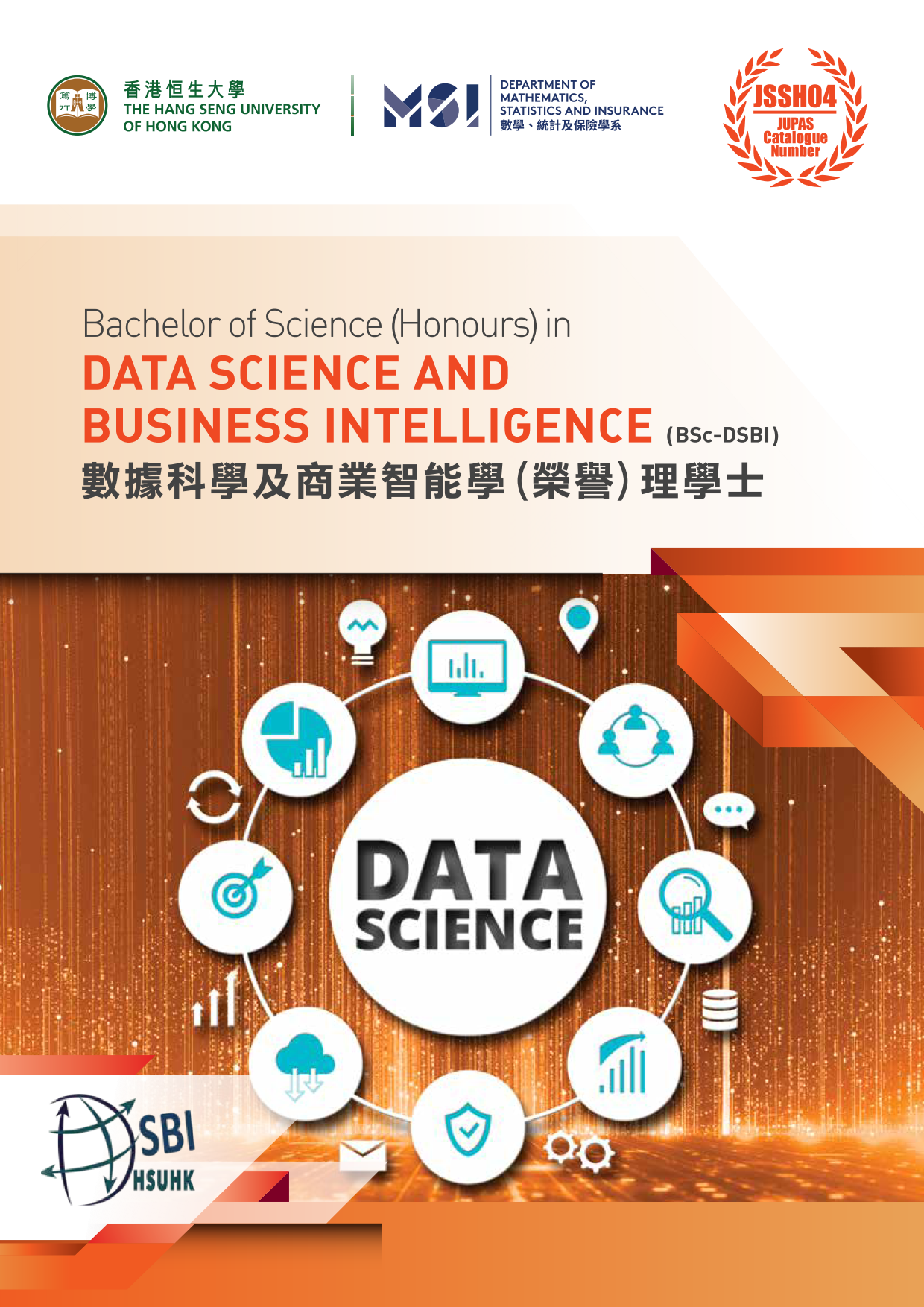 數據科學及商業智能學 (榮譽) 理學士
